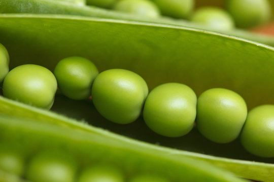 Green peas closeup