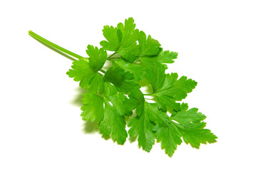  parsley