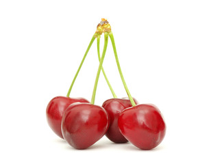 cherry