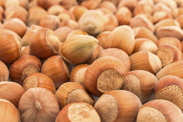 Hazelnuts
