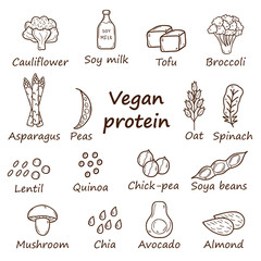 Set of cartoon hand drawn objects on vegan protein source theme