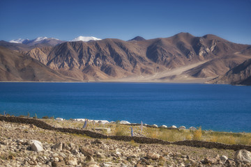 Pangong Lake Leh Ladakh ,India.