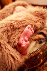 closeup small newborn baby feet
