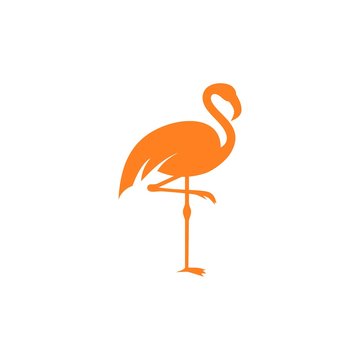 Flamingo Logo Template