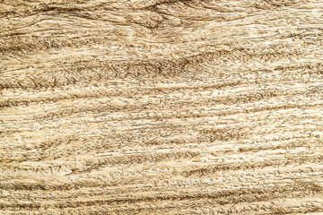 wood texture background
