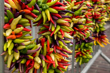 Chili pepper wreaths hanging on a metal fence
