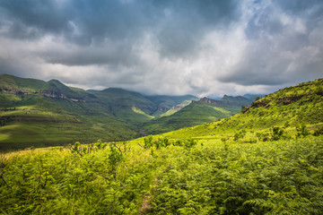 On the Road to Drakensberg