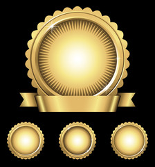 Shiny Gold Emblem & Seals  © Giraphics