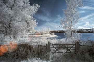 Landscape  in infrared of lake in English countryside in Summer