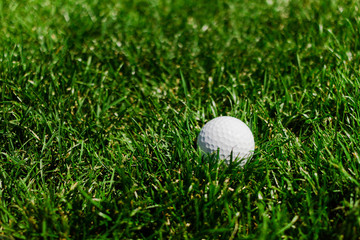 Golf Ball at a Field