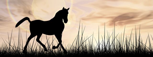 Horse silhouette in grass at sunset banner