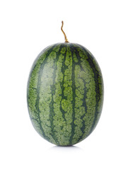 watermelon insolated on white  background