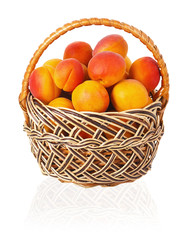 Ripe apricots in a wicker basket