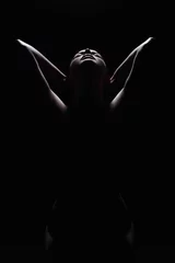 Poster Im Rahmen dunkle weibliche Silhouette, Hände und Gesicht. Kunstfoto von nacktem Körpermädchen © eugenepartyzan