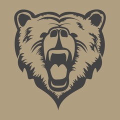 grizzly head vector - 90971738