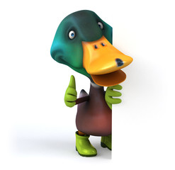 Fun duck