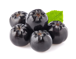 Chokeberry in closeup