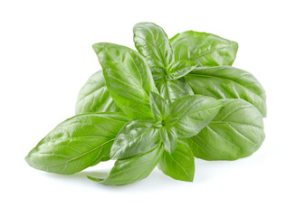 Basil spices