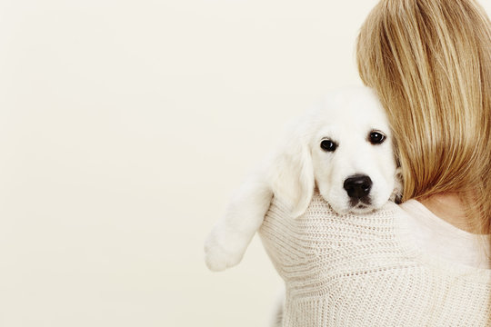 Puppy embraced by blonde owner, studio