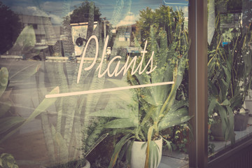Alphabet plants word on the Window of cafe