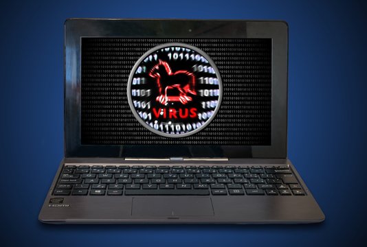 Anti virus software found virus thread when scanning binary code for malware in laptop.