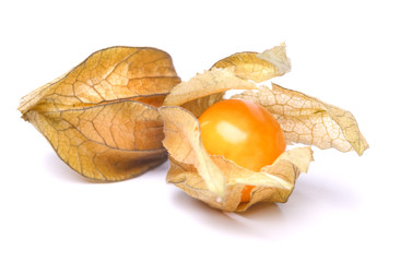 physalis