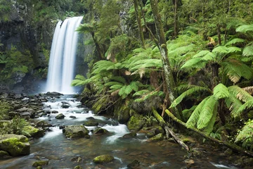 Crédence en verre imprimé Jungle Cascades de la forêt tropicale, Hopetoun Falls, Victoria, Australie