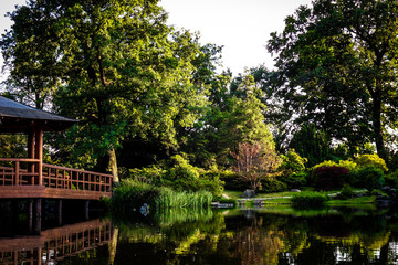 Sunny Day In The Park