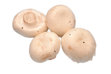 Fresh raw mushrooms isolated on white background