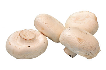 Fresh raw mushrooms isolated on white background