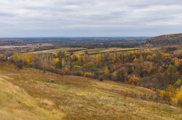 Late fall landscape in Sumskaya oblast, Ukraine