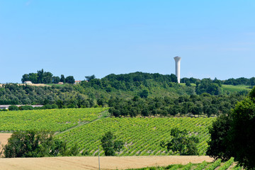 Landscape with water tower, rows of vines and wheat field in France