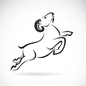 Vector image of an goat design on white background