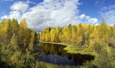 Golden autumn.Forest landscape with river .