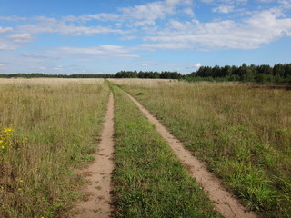 Obraz premium Колеи, уходящие вдаль в поле с начинающей желтеть травой осенью