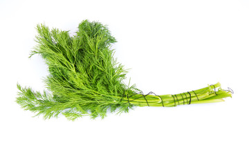 Fresh dill isolated on a white background