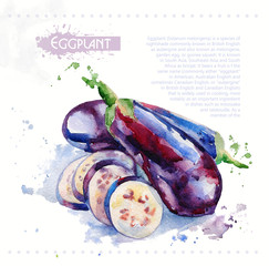 Eggplant. Raw vegetable. Watercolor illustration for design. Spray paint.  © inna72