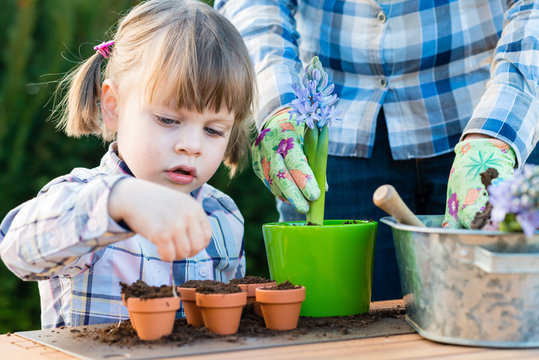 Little Girl Gardener Planting Flower Bulbs With Her Mom