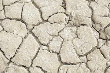 Dry land ecological disaster