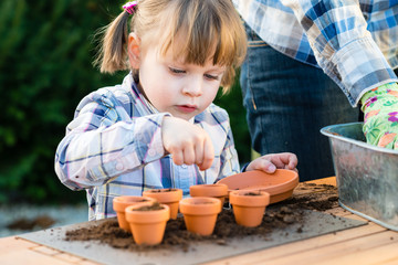 little girl gardener planting flower bulbs with her mom