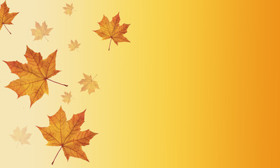 Fototapeta premium Falling autumn leaves