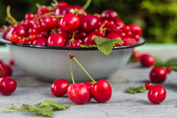 Fruit bowl full cherries currants