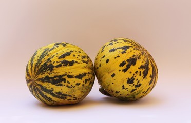 Fruit cantaloupe Turkish melon on a pink background Turkey  