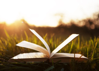 Open book on grass under the sun