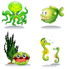 Sea animals in green color