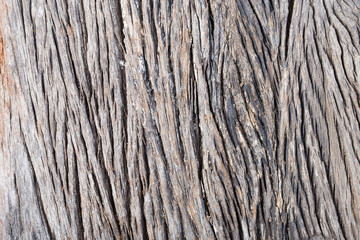 wood texture background