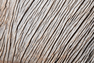 Fototapeta premium wood texture background