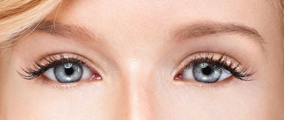 Obraz premium Closeup shot of woman eye with day makeup. Long eyelashes