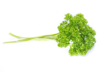 Parsley isolated on a white background