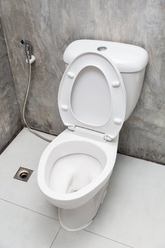 Home flush toilet